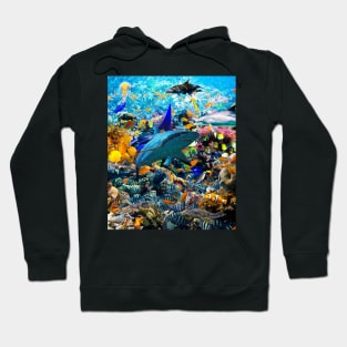 Ocean Dolphin Shark Turtle Coral Sea Fish Orca Whale Reef Hoodie